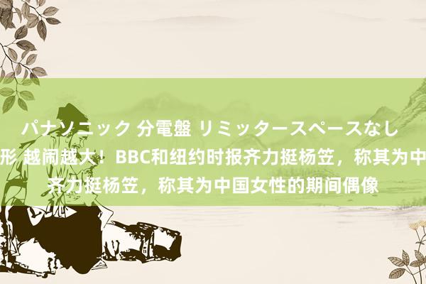 パナソニック 分電盤 リミッタースペースなし 露出・半埋込両用形 越闹越大！BBC和纽约时报齐力挺杨笠，称其为中国女性的期间偶像
