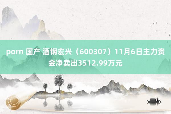 porn 国产 酒钢宏兴（600307）11月6日主力资金净卖出3512.99万元