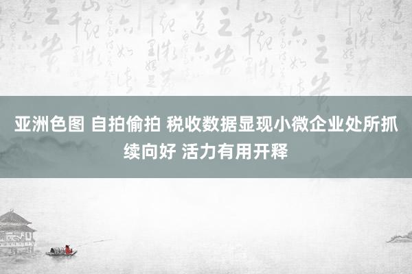 亚洲色图 自拍偷拍 税收数据显现小微企业处所抓续向好 活力有用开释