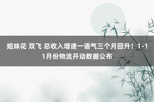 姐妹花 双飞 总收入增速一语气三个月回升！1-11月份物流开动数据公布