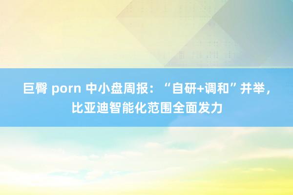 巨臀 porn 中小盘周报:“自研+调和”并举,比亚迪智能化范围全面发力