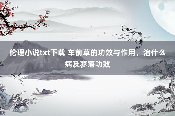伦理小说txt下载 车前草的功效与作用，治什么病及寥落功效